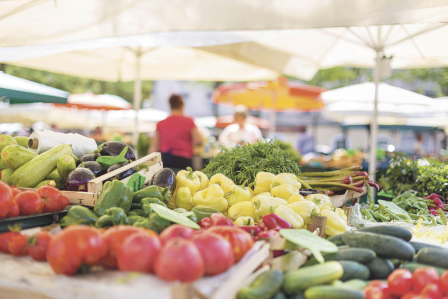 Frisches Gemüse an Marktständen, Thema: Extremwetter
